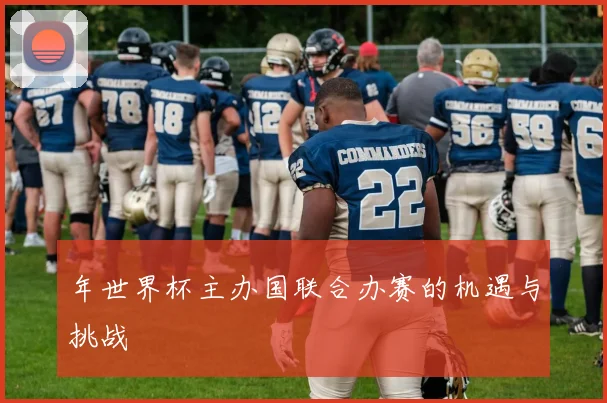 年世界杯主办国联合办赛的机遇与挑战