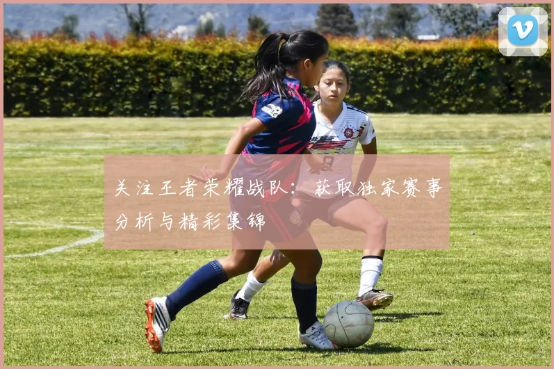 关注王者荣耀战队:获取独家赛事分析与精彩集锦