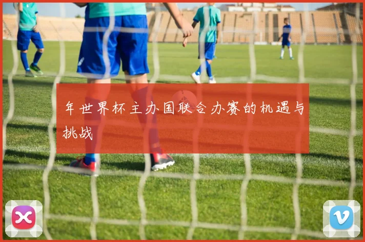 年世界杯主办国联合办赛的机遇与挑战